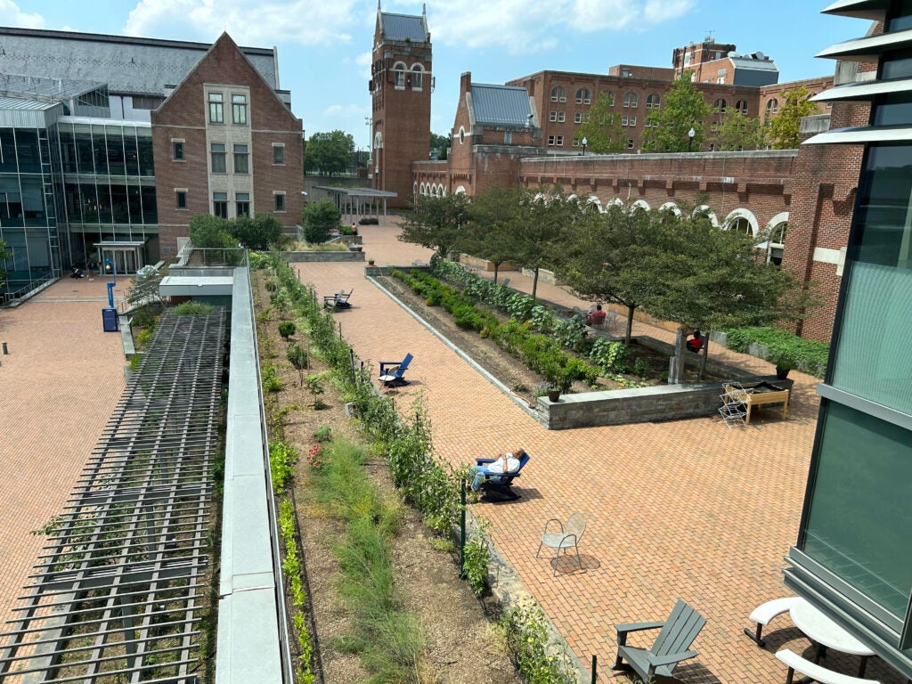 An image taken of the Hoya Harvest Garden from afar that depicts flower and vegetable beds and the brick patio on the outside of a brick academic building.